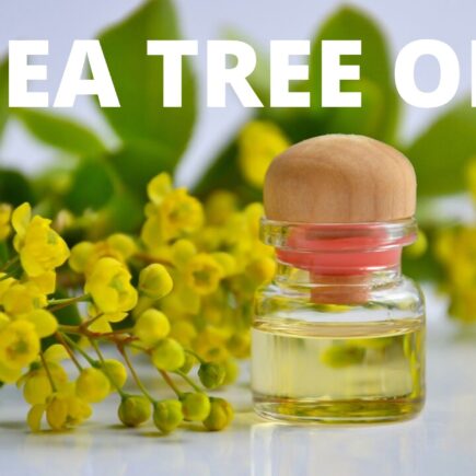 11 Marvellous Btea tree oil for nail fungusenefits of Tea Tree oil