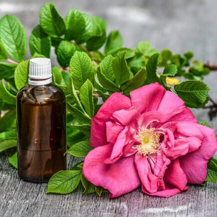 Rosehip Oil for Acne and Skin Benefits