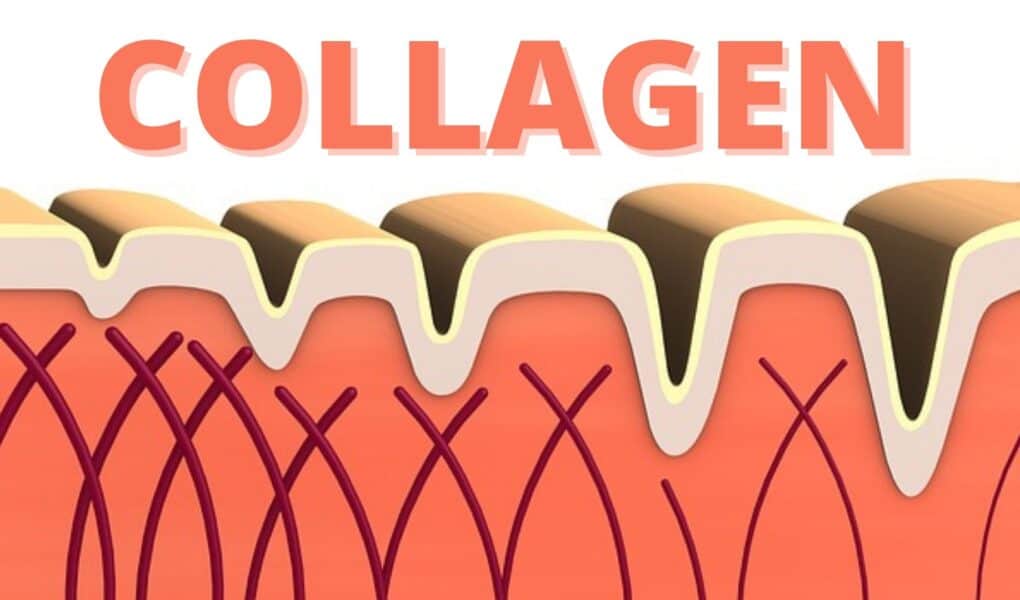 How To Increase Collagen Naturally?