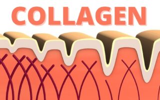 How To Increase Collagen Naturally?