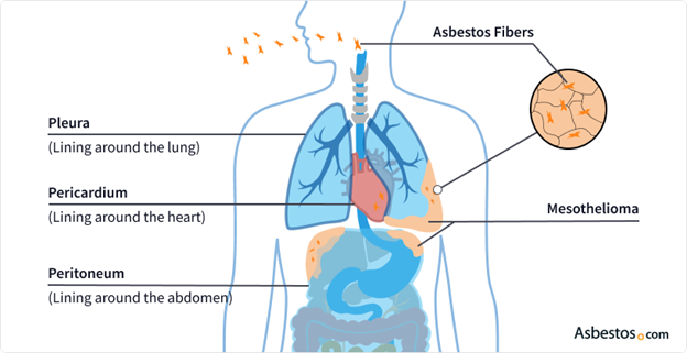 Asbestos in Beauty: Why Your Makeup Could Be Harmful